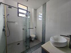 Serangoon Avenue 2 (D19), Semi-Detached #586767911